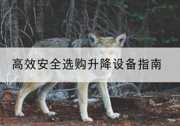 广汉升降货梯厂家推荐-*安全选购升降设备指南