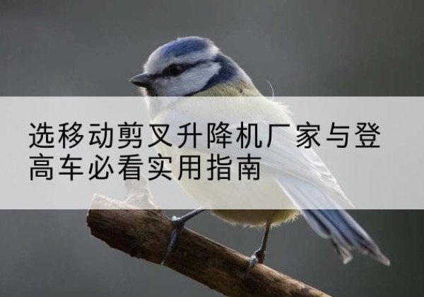 广汉电动升降机厂家-选移动剪叉升降机厂家与登高车必看实用指南