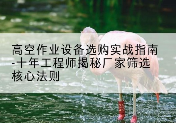 广汉剪叉式升降机厂家-高空作业设备选购实战指南-十年工程师揭秘厂家筛选核心法则